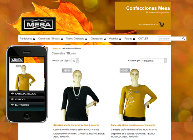 Example of web design online store product presentation